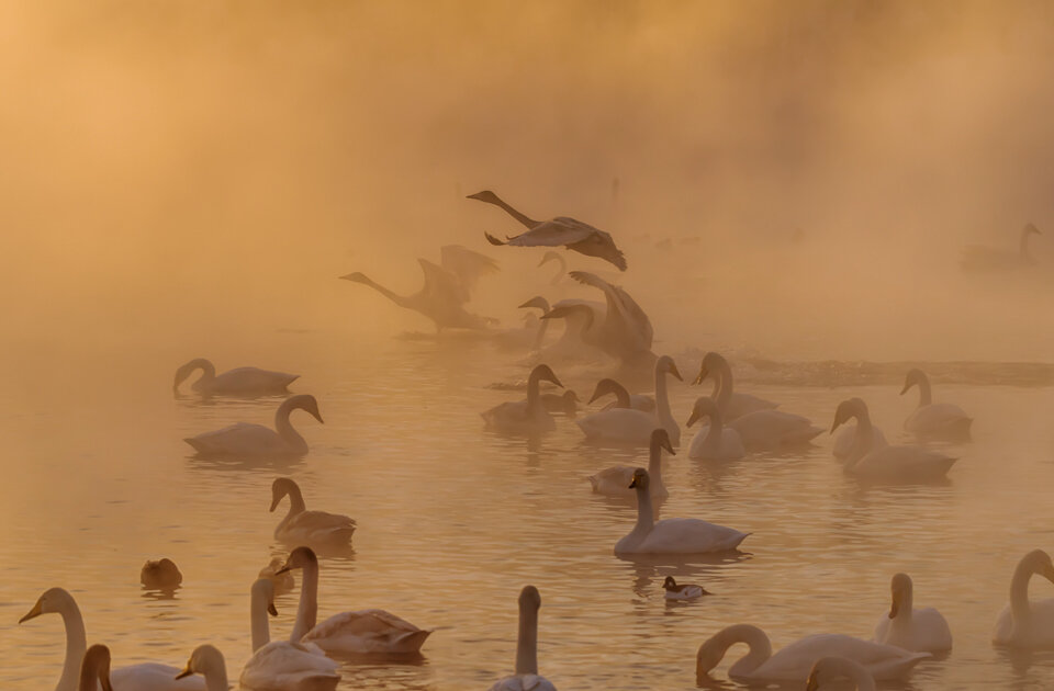 Владимир Иванов