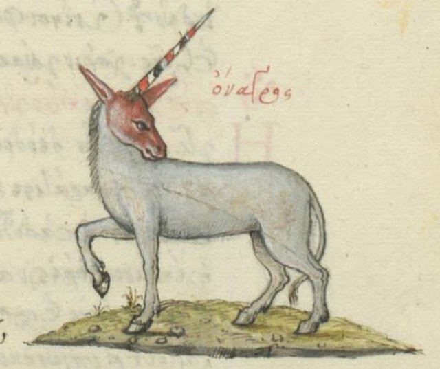 Здесь изображена иллюстрация однорогого индийского осла, описанного Ктесиасом из Книда в 4 веке до н.э.