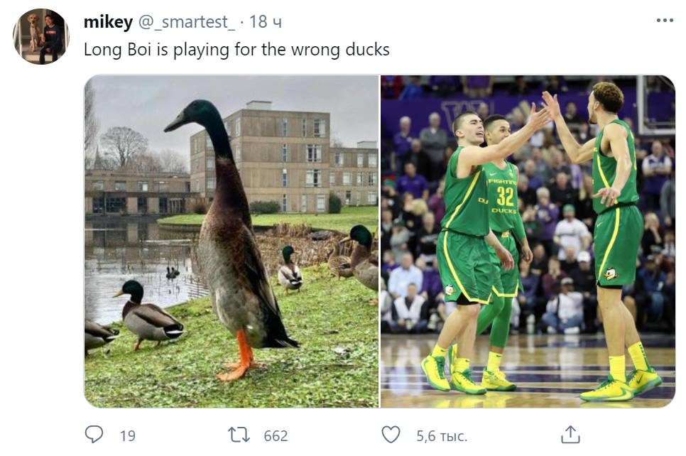 Who duck. Утка Лонг бой. Самые большие утки в мире. Утки великаны. Лонгбой утка МУТАНТ.