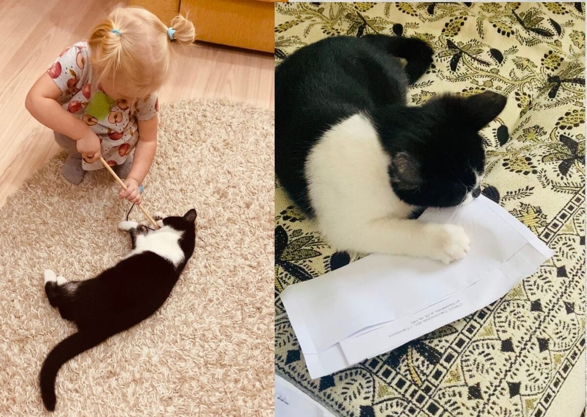 Проверил счета, поработал на компьютере, освоил вязание...