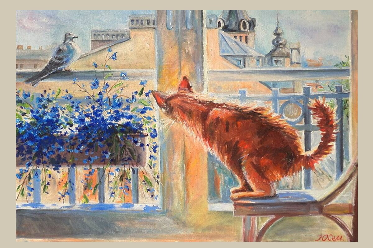 Безымянный кот