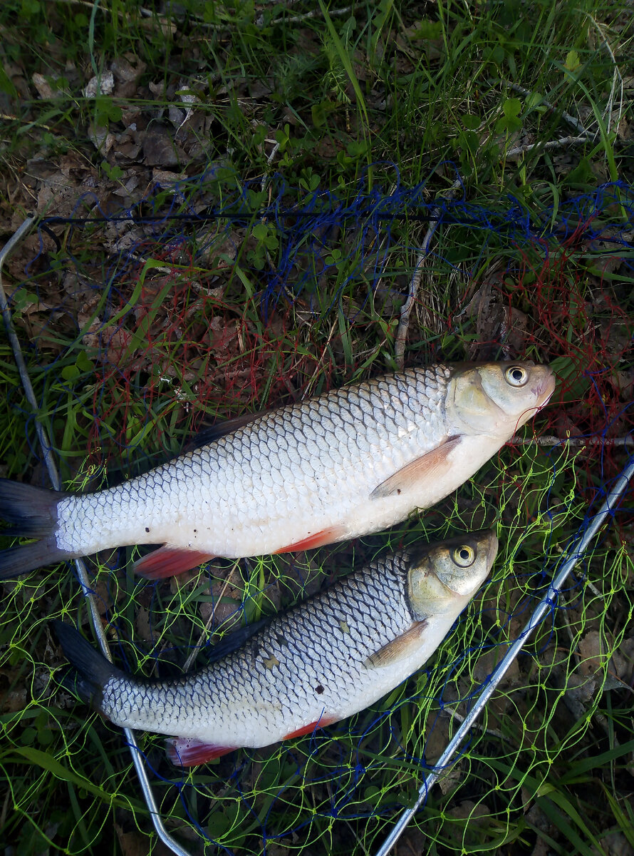 фотоматериал из личного архива