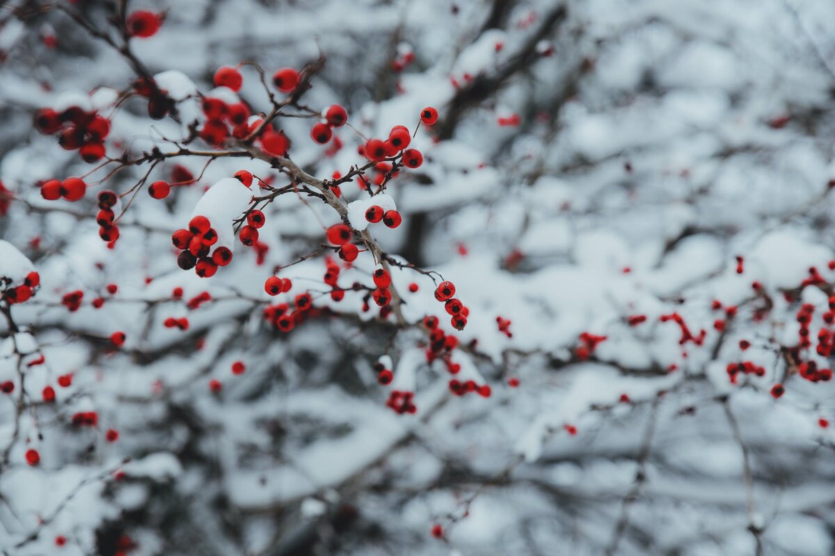 фото Aleksandr Slobodianyk