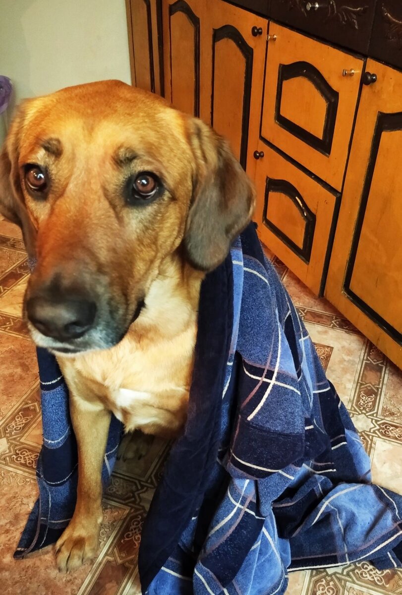 Моему словарному запасу пятиклассник позавидует)))