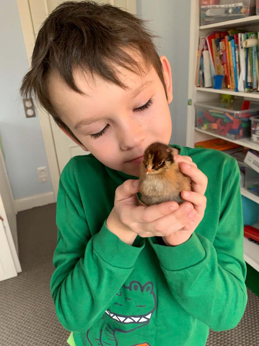 Здесь зуб еще есть) белая точка на клювике