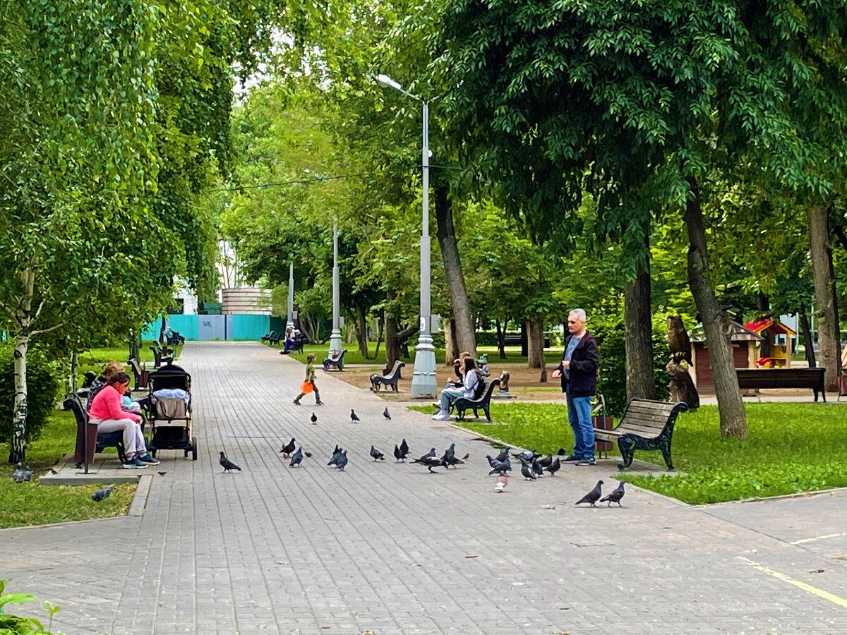 После основной публикации про город Энгельс, что находится в Саратовской области, решила сделать публикацию про этот замечательный парк.-6