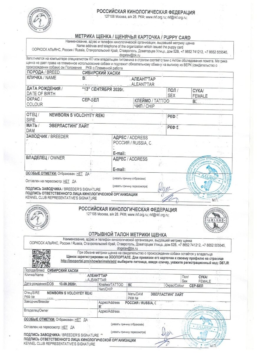 Щенячья карточка РКФ