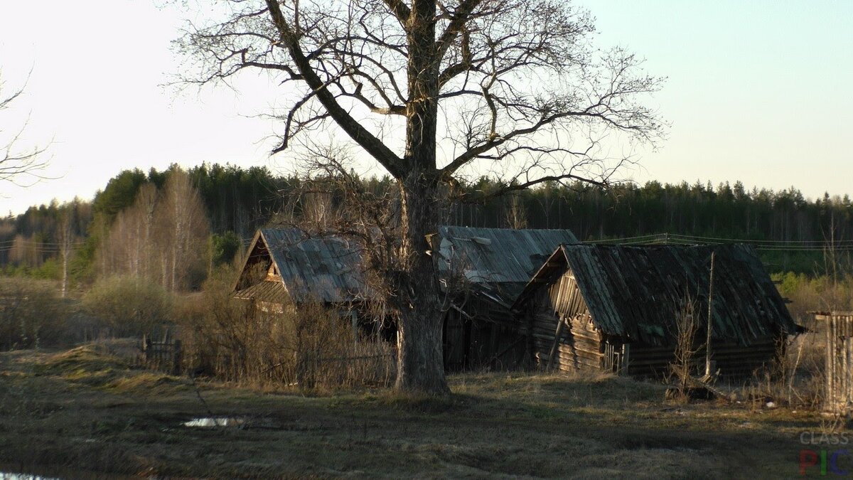 Фото: classpic.ru