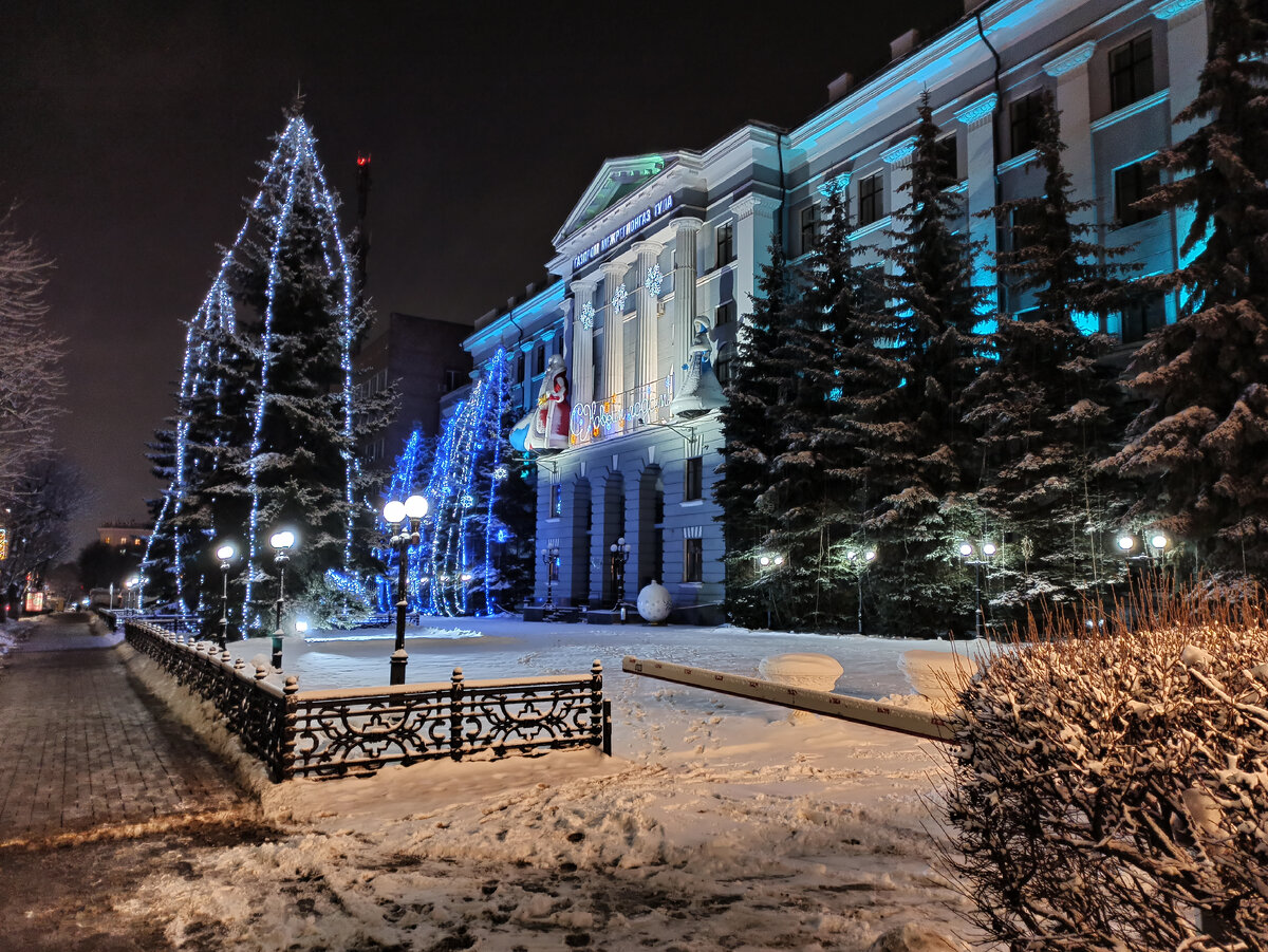 Фото автора. Ёлки компаниии "Межрегионгаз"