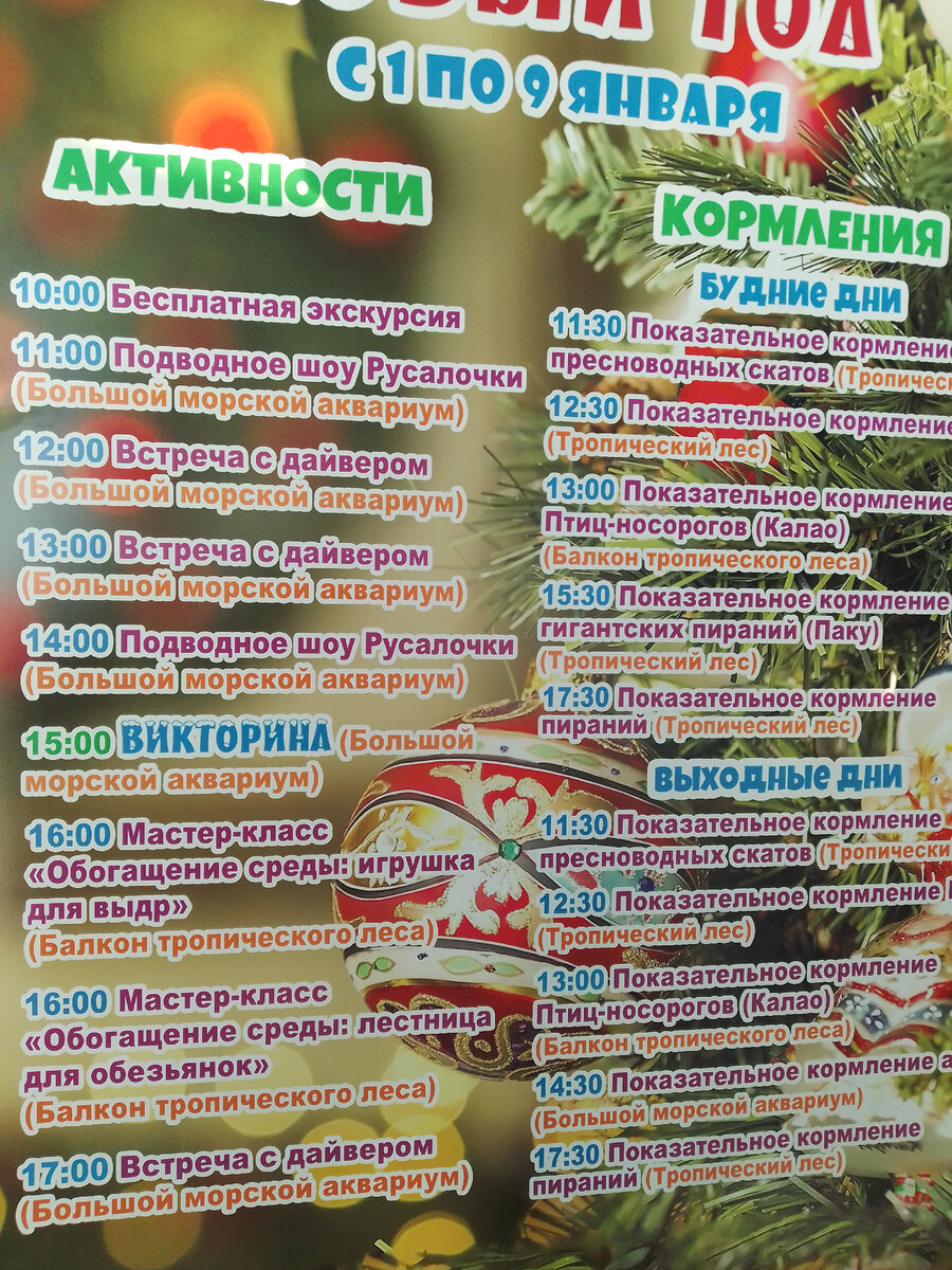 Расписание мероприятий в океанариуме