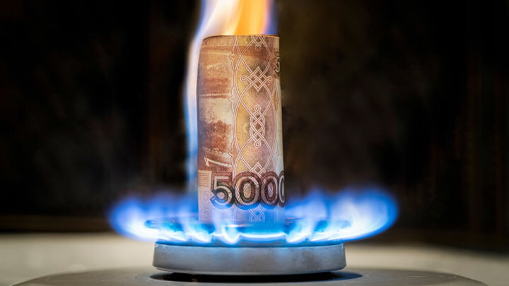 ФОТО: DIY13 / SHUTTERSTOCK.COM 