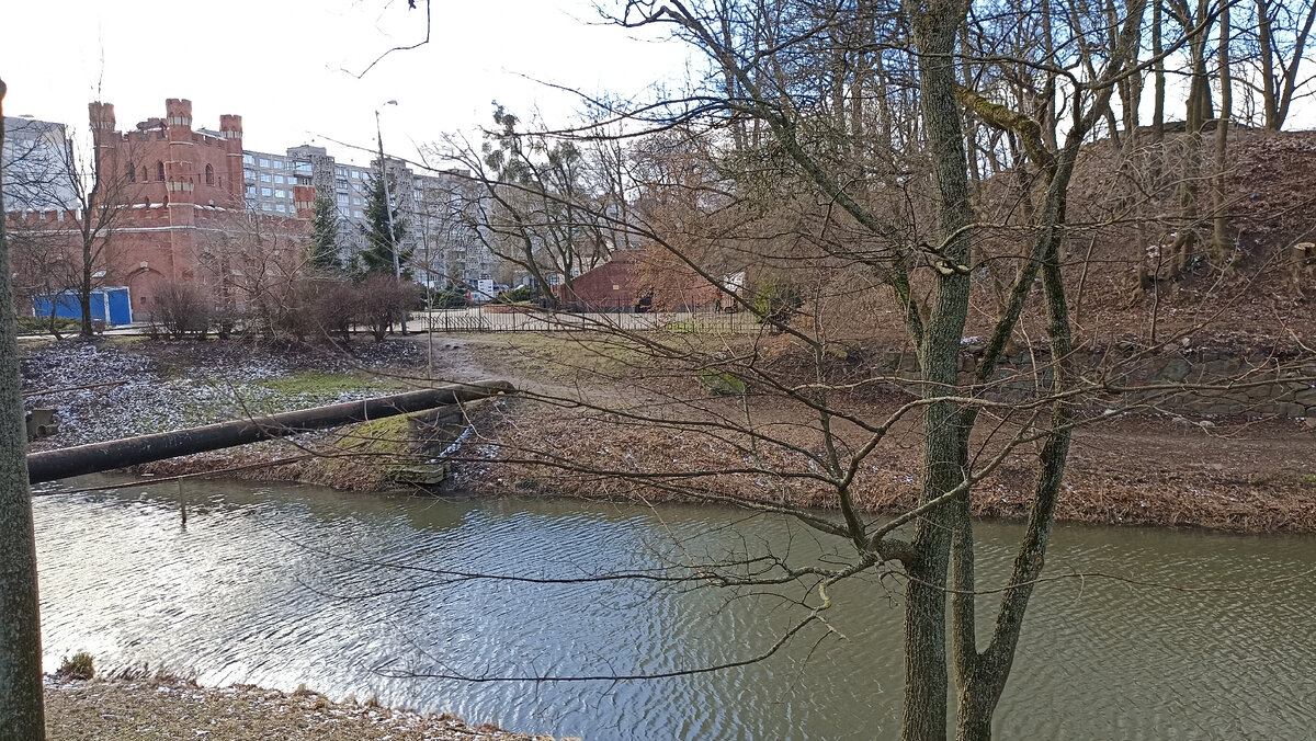 Королевские ворота "с тыла"