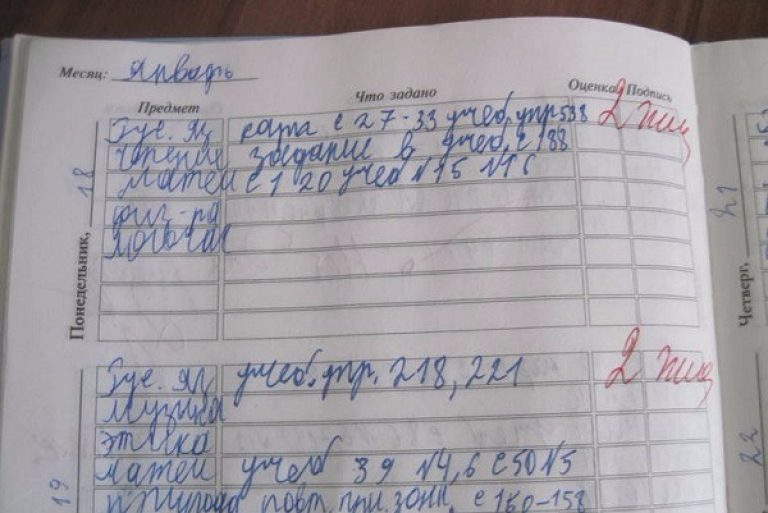 За свои рисунки ученик получил две положительные оценки