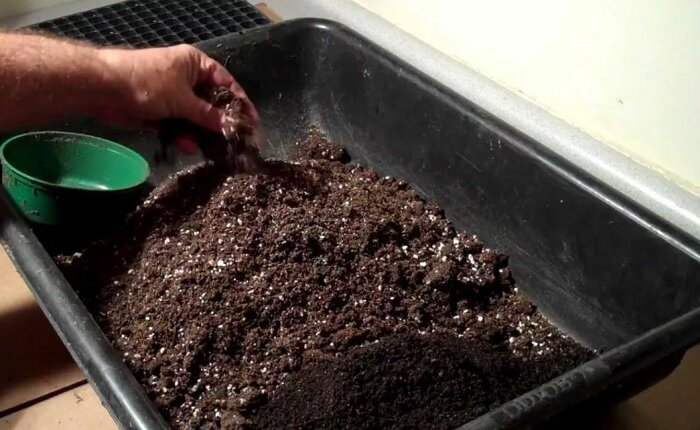 Рассадный грунт