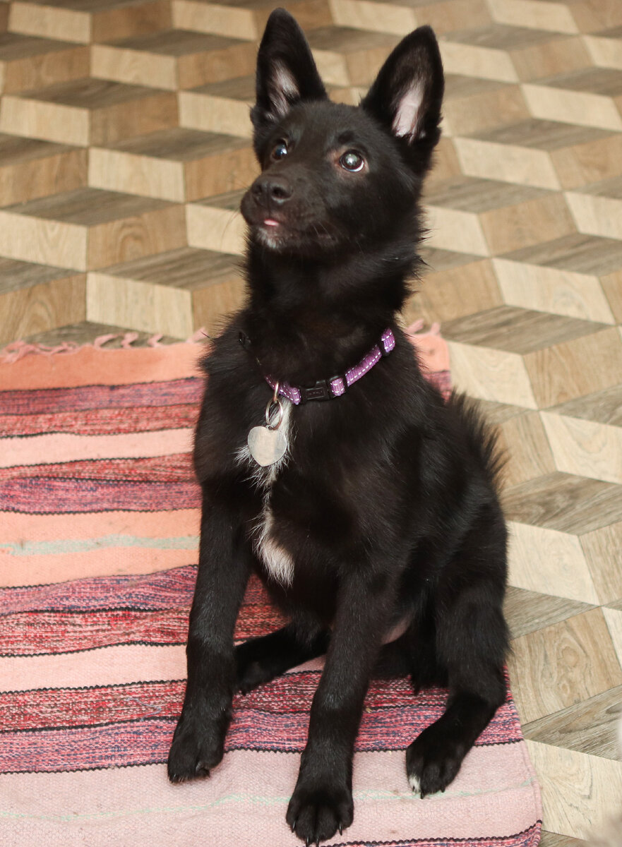 Как провести жизнь оптимистично. Прежде всего — верьте только в хорошие приметы. 