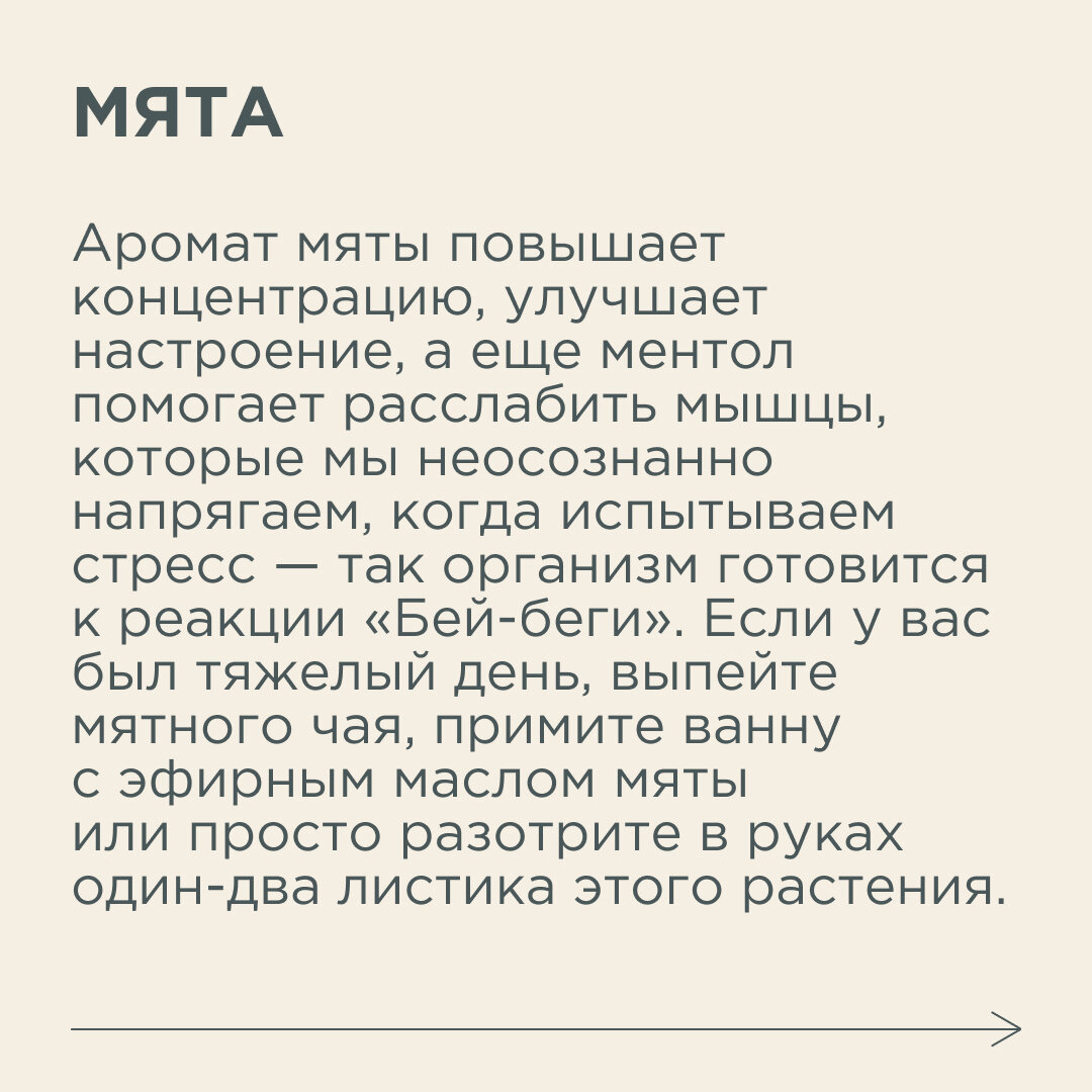 Стресс и способы его преодоления, для многих актуальная тема. Мы прелагаем  7 цветов, которые уменьшают уровень стресса в доме | Новый очаг | Дзен