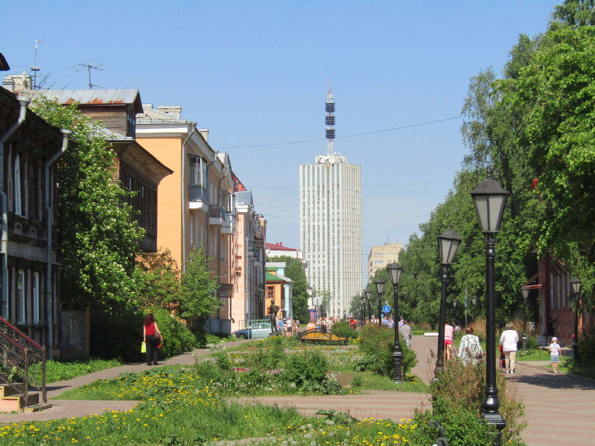 Лесные посёлки. В поисках новых смыслов