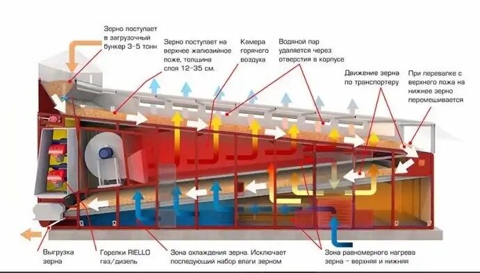 Принципиальная схема работы конвейерной сушилки с неподвижным ложем