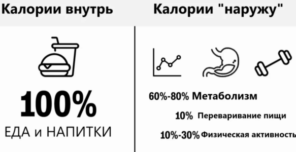 Как всё работает. Это физика, в условиях которой существует биология и биохимия.