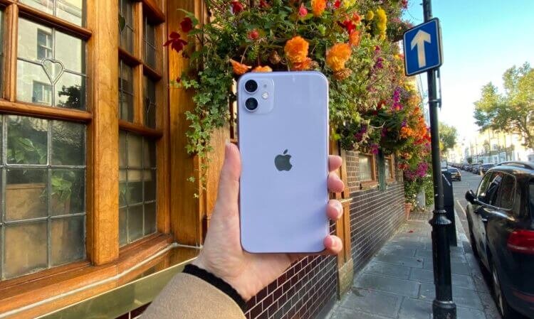 iPhone 11 — это топовый вариант для покупки в 2022 году, особенно за те деньги, что за него просят