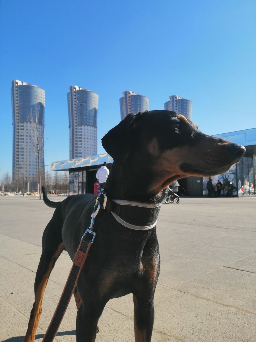 19 марта