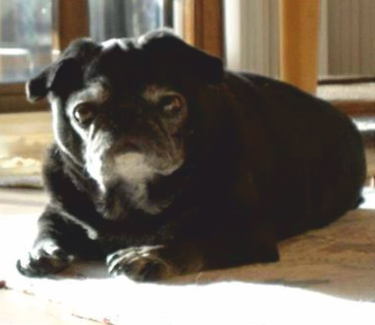 Инди Стили (Стальной Инди) 