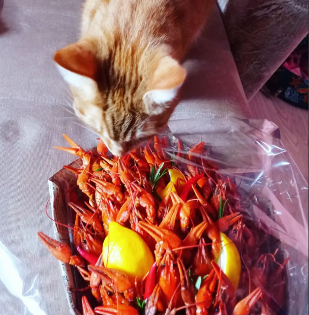 Такой вот букетище. Впечатляет, да?