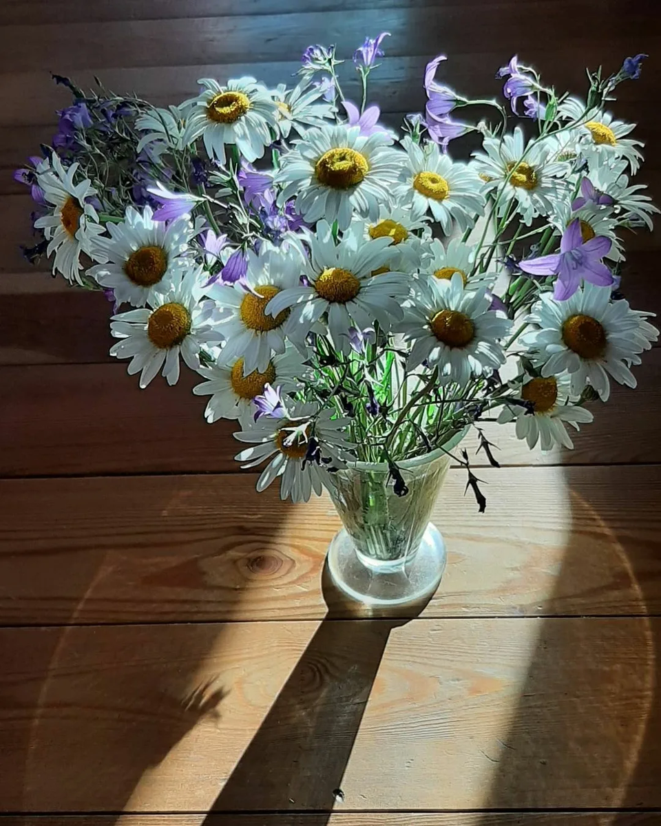 яндекс картинки бесплатно