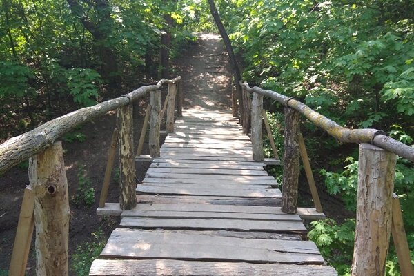 Фото Ольги Семёновой