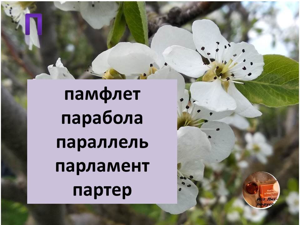подборка словарных слов. Авторский материал