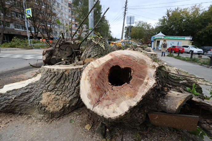 Фото: Тульская служба новостей 