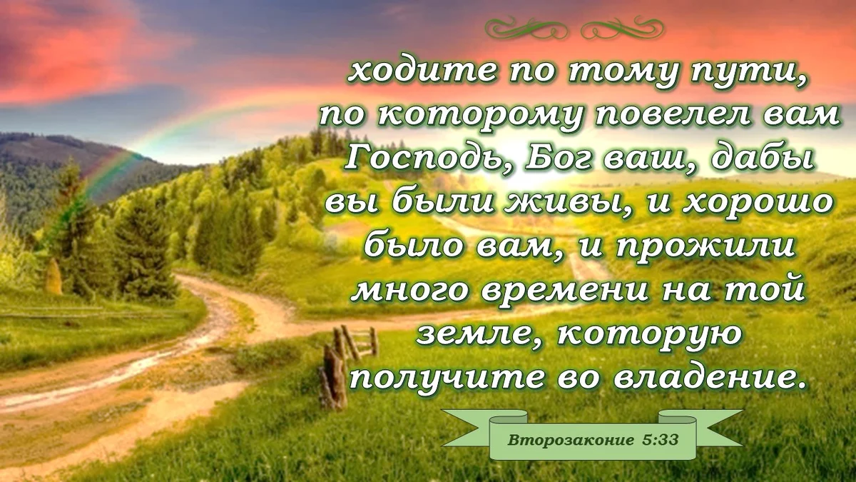 Источник: Яндекс. Картинки