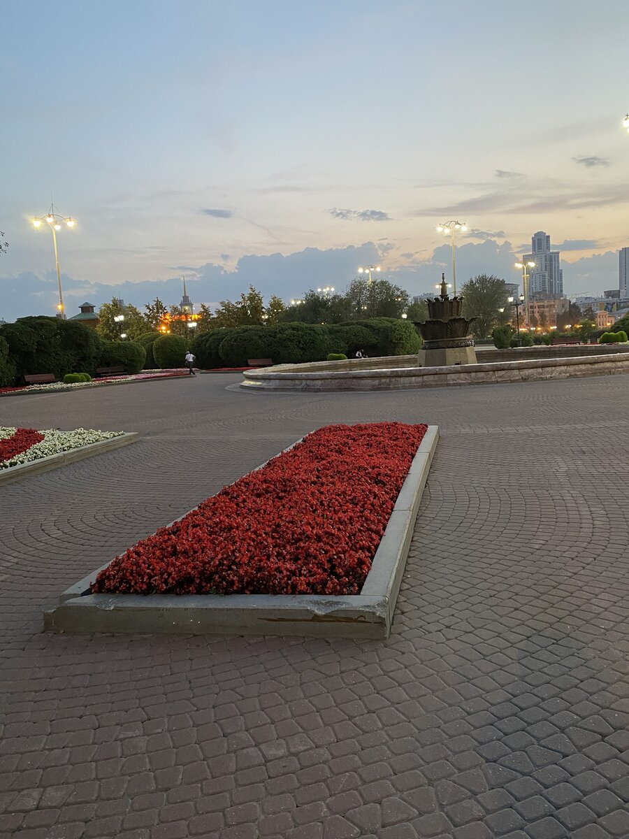 Фото прошлогоднее конечно, но я не теряю надежды  на возможность сделать свежее