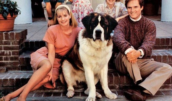 Источник фото - https://uznayvse.ru/