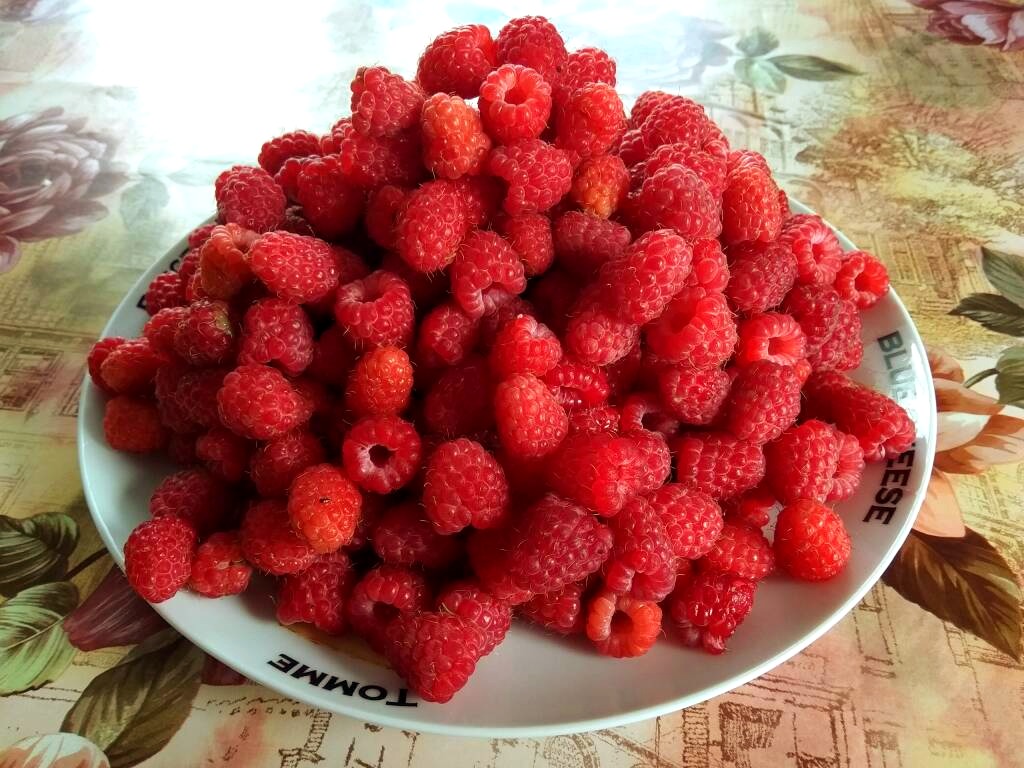 Соседка по даче подсказала, как помыть малину, чтобы не повредить ягоды. Понадобятся таз и дуршлаг0