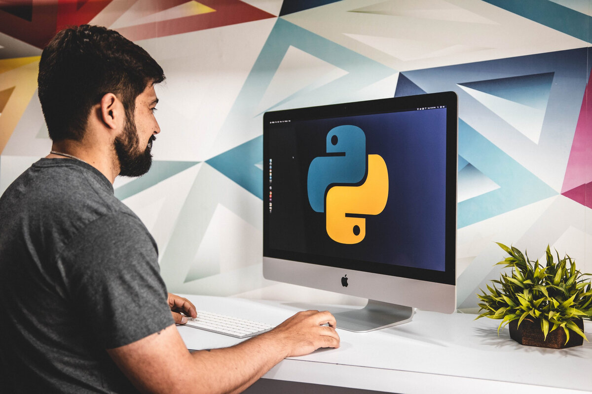 Где используется python | Авангард IT-индустрии | Дзен