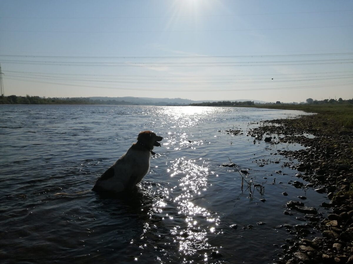 Туся медитирует на рассвете