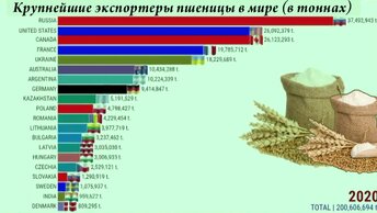 Крупнейшие экспортеры пшеницы в мире (в тоннах)