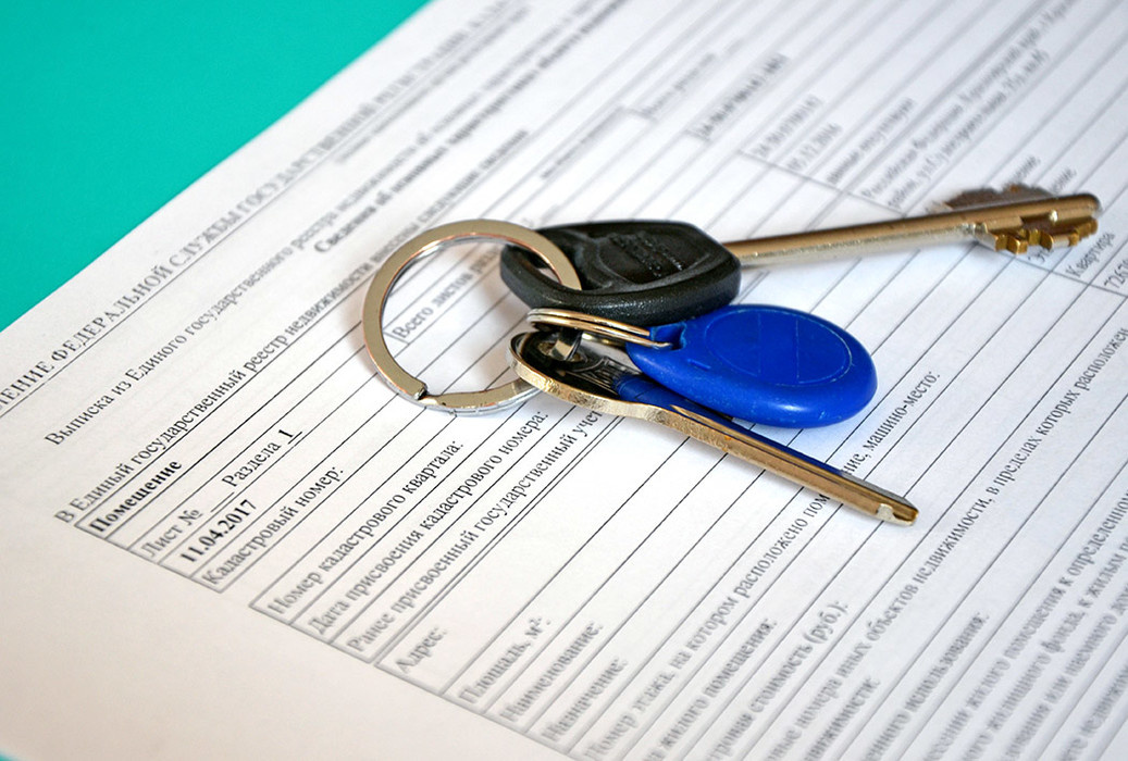 Выписки из ЕГРН подразделяются на те, которые предоставляются по запросу любого заинтересованного лица, и те, которые доступны только ограниченному кругу лиц, установленному законом (собственникам или их законным представителям, правоохранительным органам, судам, судебным приставам, нотариусам, органам власти). 