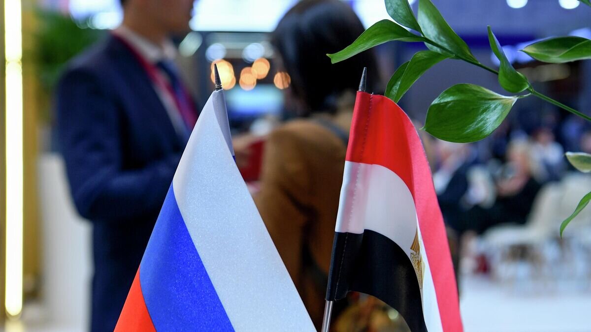    Флаги России и Египта на XXV Петербургском международном экономическом форуме - 2022© РИА Новости / Максим Богодвид
