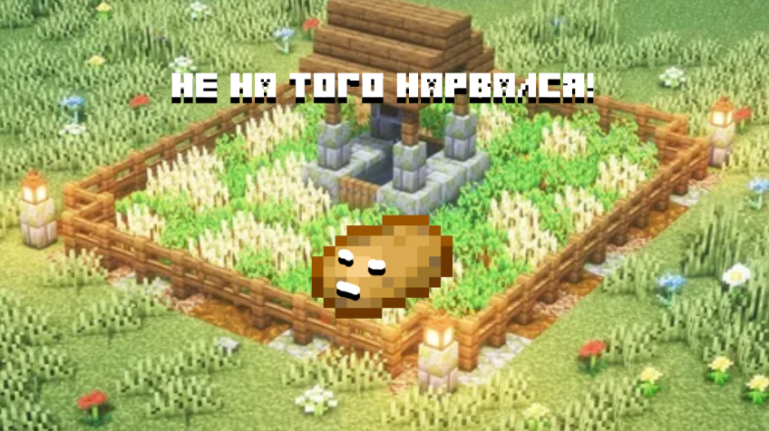 Никогда не видел такую серьёзную картошку...