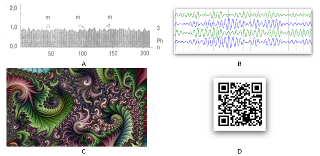 Рис.4. Пример явлений, в котором прослеживаются регулярные и амплитудно модулиро¬ван¬ные элементы. A – интервалокардиография (методика P.M. Баевского), B – альфа-ритм электроэнцефалограммы, C – фрактал Мандельброта, D – QR-кодирование