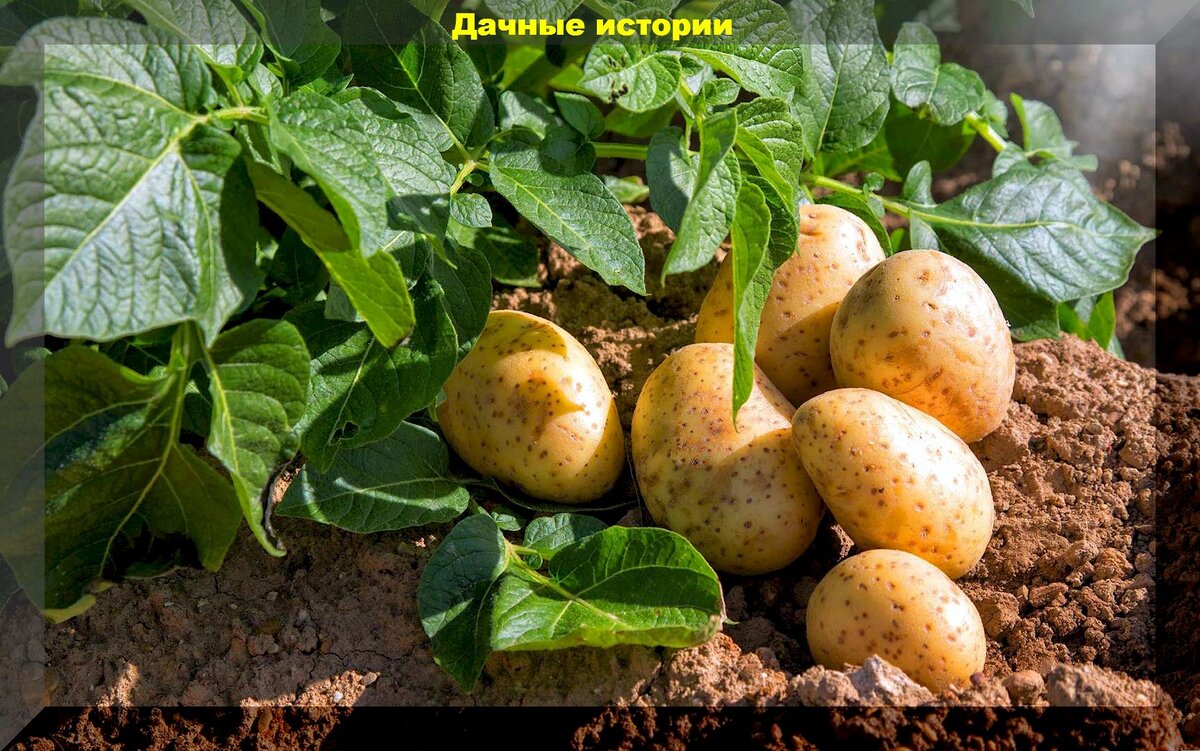 https://vk.com/photo-159774511_457255227