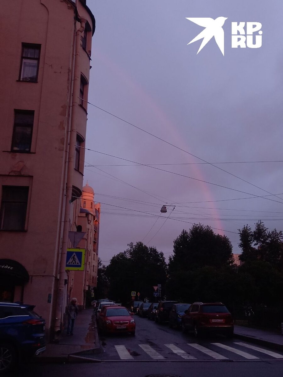     Хоть что-то хорошее в этот промозглый день. Артем КИЛЬКИН
