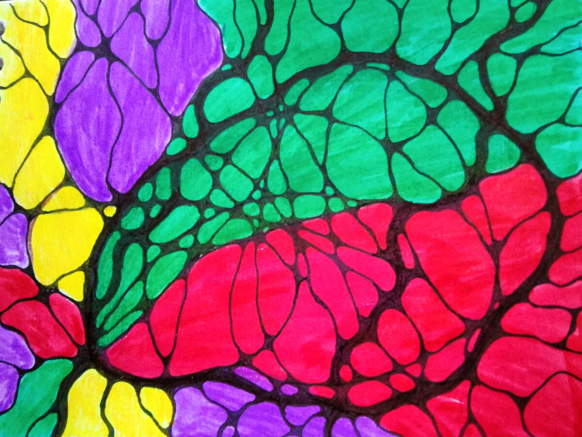 АСО1. Голова