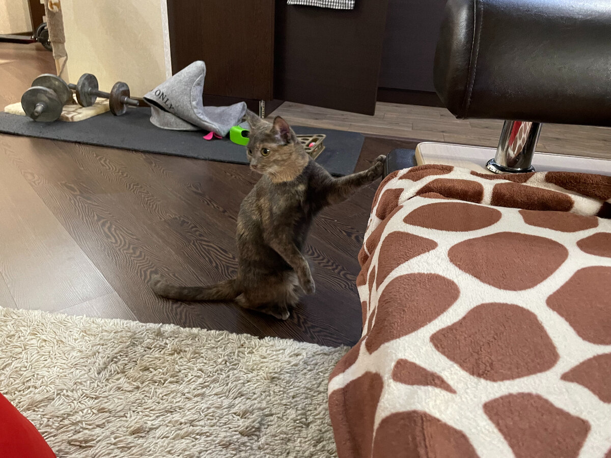 Как думаете, что я там увидела?