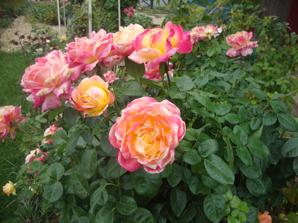 вот такие мы ещё красивые