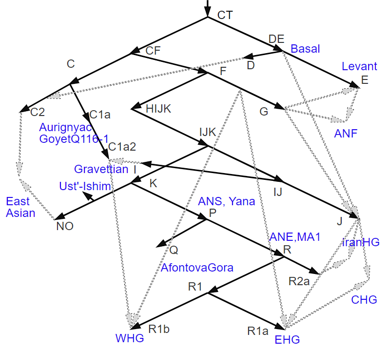 Сильно упрощенный граф на основе сильно упрощенного остовного дерева Y-гаплогрупп составленное на основе потоков из Allentoft et al. 2022..