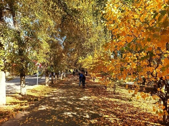     Фото: Натальи Качановской/Сиб.фм