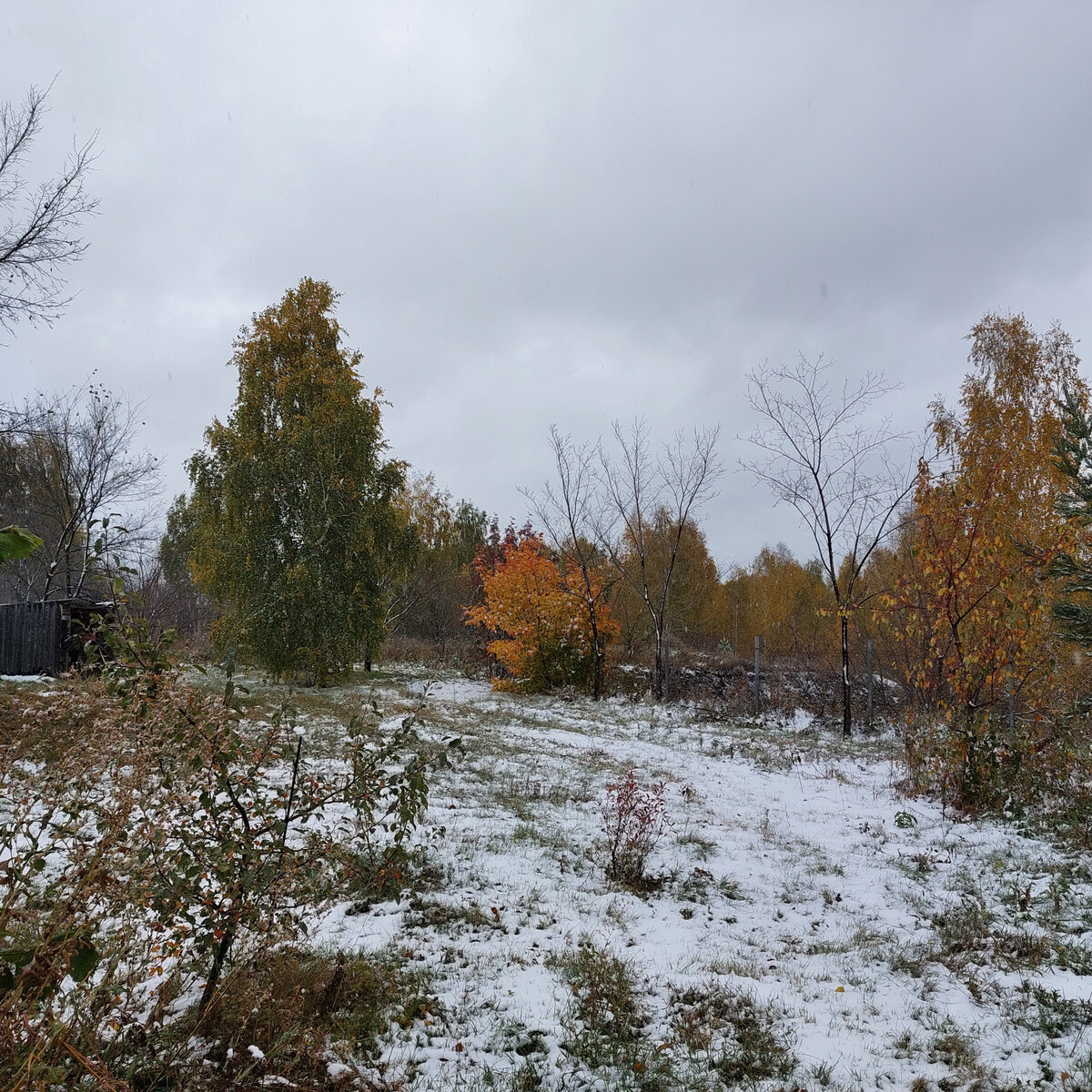 У нас первый снег 30 сентября. 